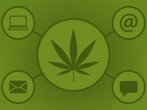 Cannabis Marketing; How to promote your business
