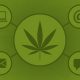Cannabis Marketing; How to promote your business