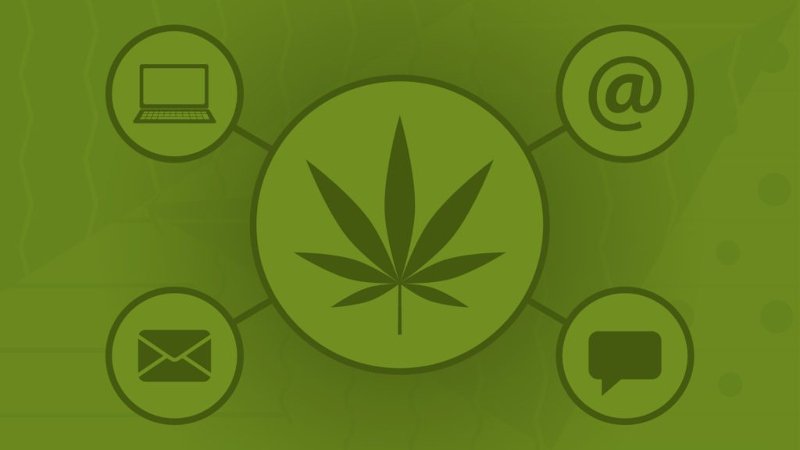 Cannabis Marketing; How to promote your business