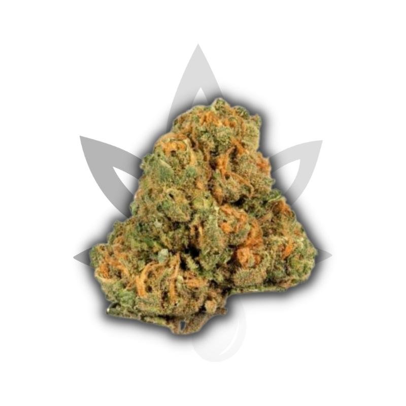 Jack Herer strain