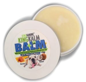 Dog Paw Balm with CBD