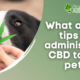 What are the tips for administering CBD to your pets?