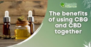 The benefits of using CBG and CBD together